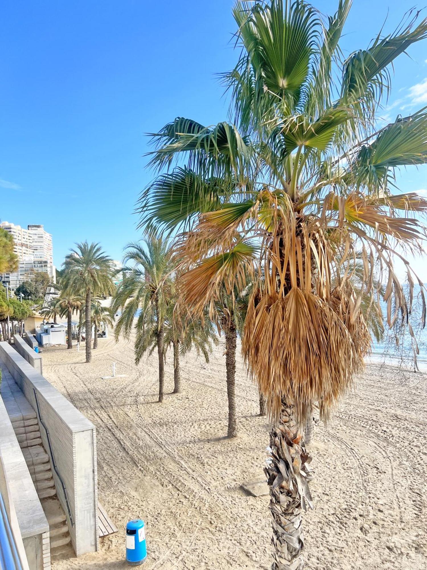 A 100 Metros De La Playa. Parking Gratuito Privado Apartman Alicante Kültér fotó